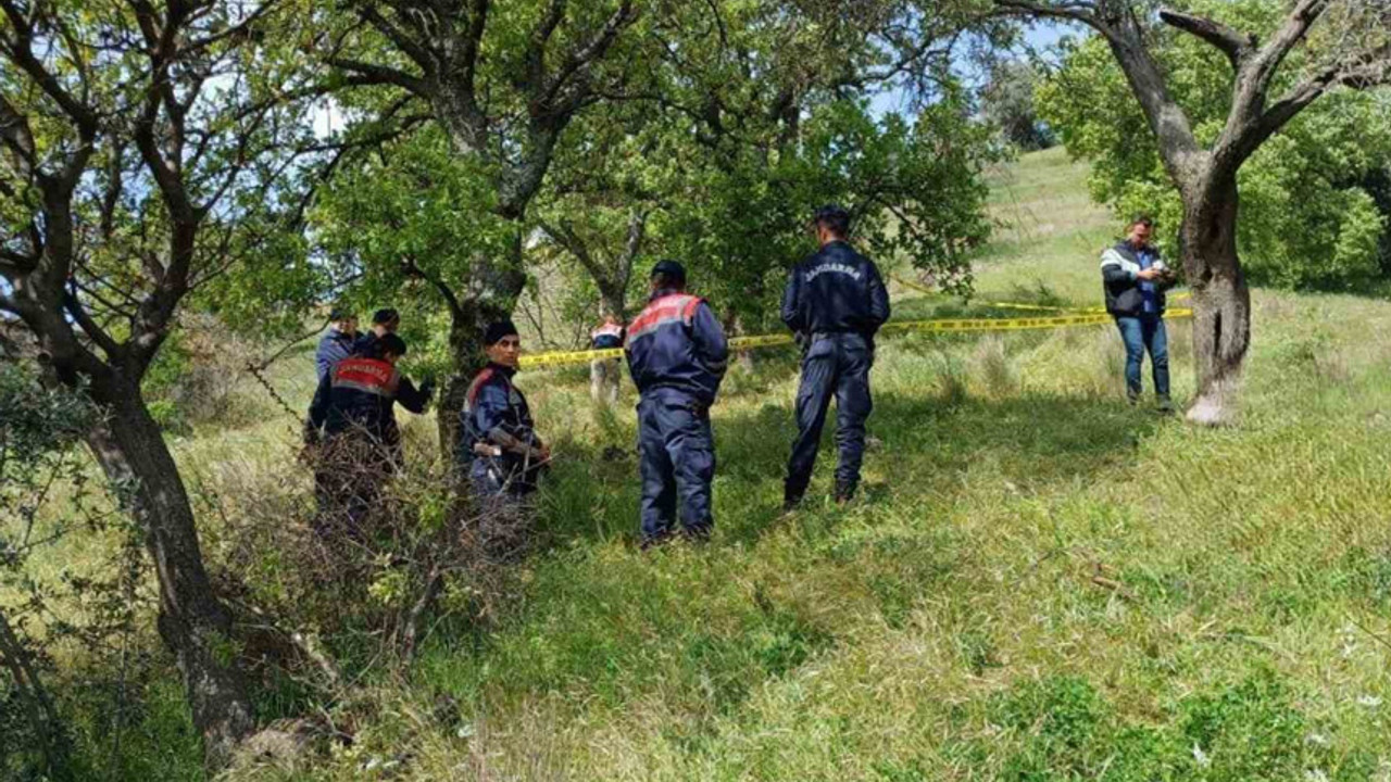 Çoban buldu neye uğradığını şaşırdı: Ağaca asılı halde bulundu