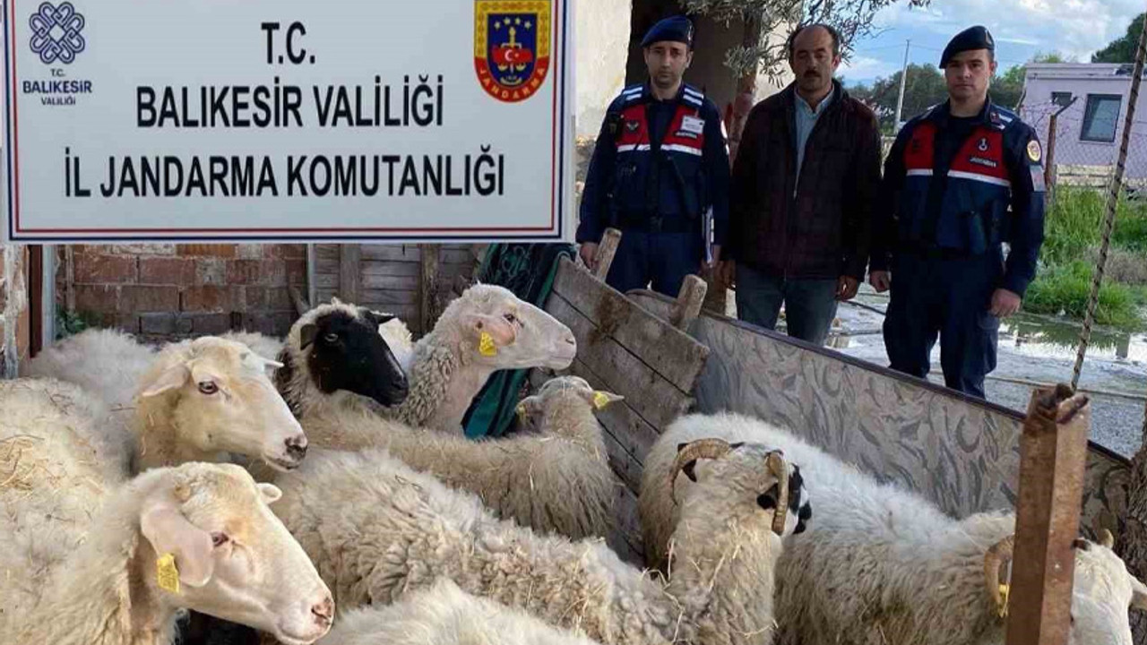 Jandarma koyun satışı aracılığıyla EFT dolandırıcılığı yapanları yakaladı
