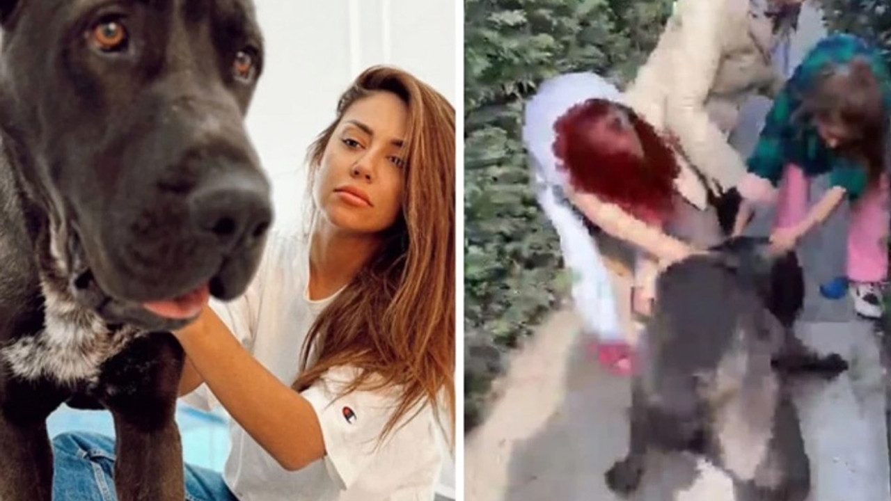 Banu Parlak'ın köpeği, komşusunun köpeğini parçalayarak öldürdü