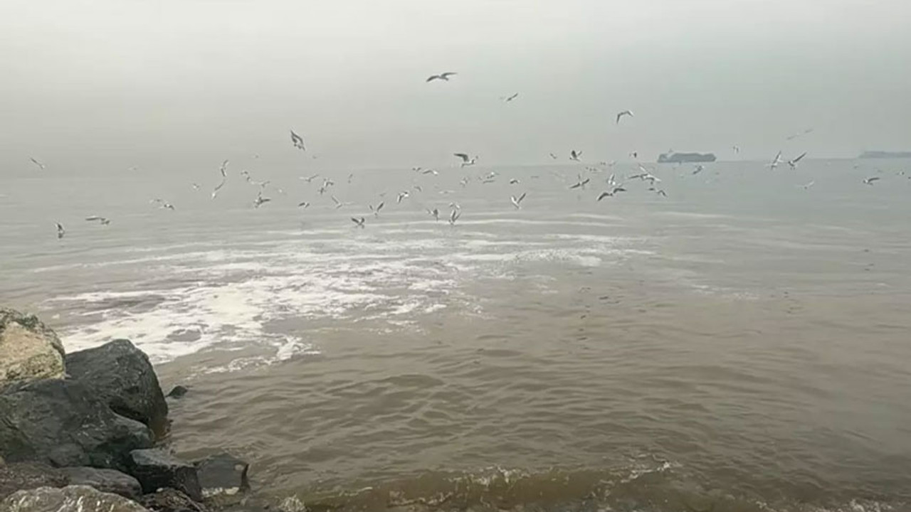 Beylikdüzü'nde kanalizasyon skandalı! Denizin rengi değişti