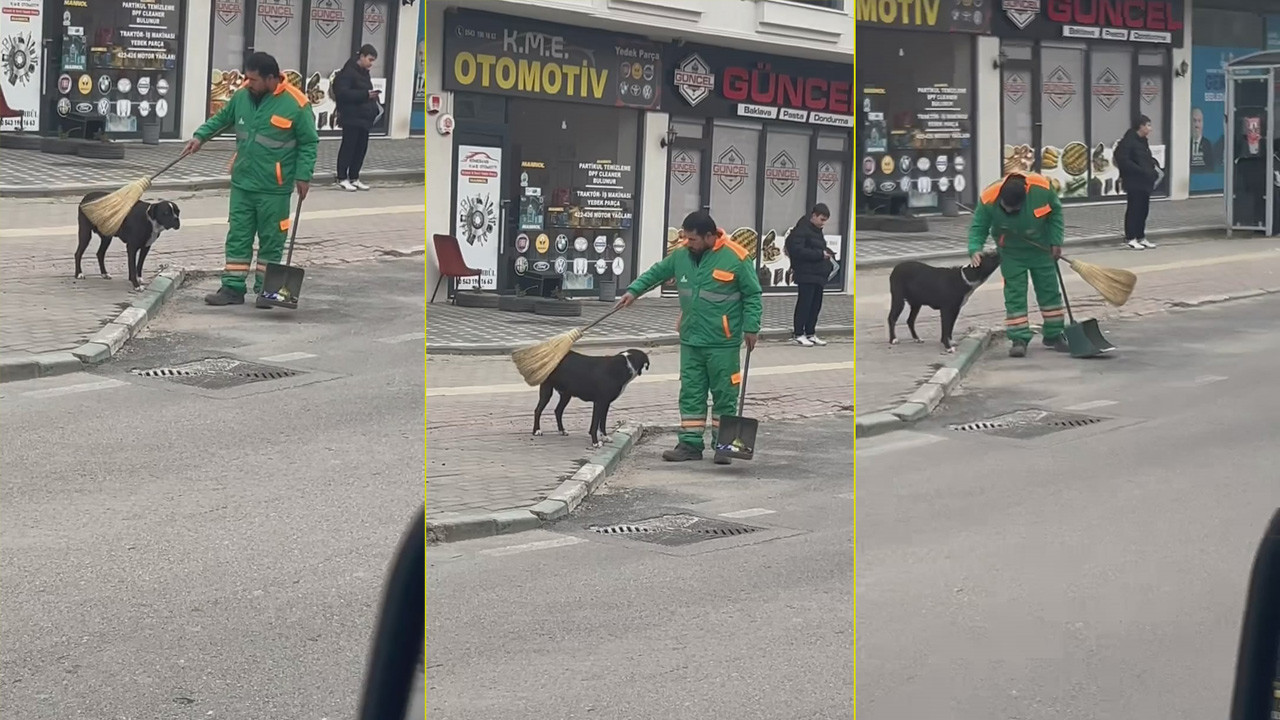 Belediye görevlisi süpürge ile sokak köpeğini temizledi