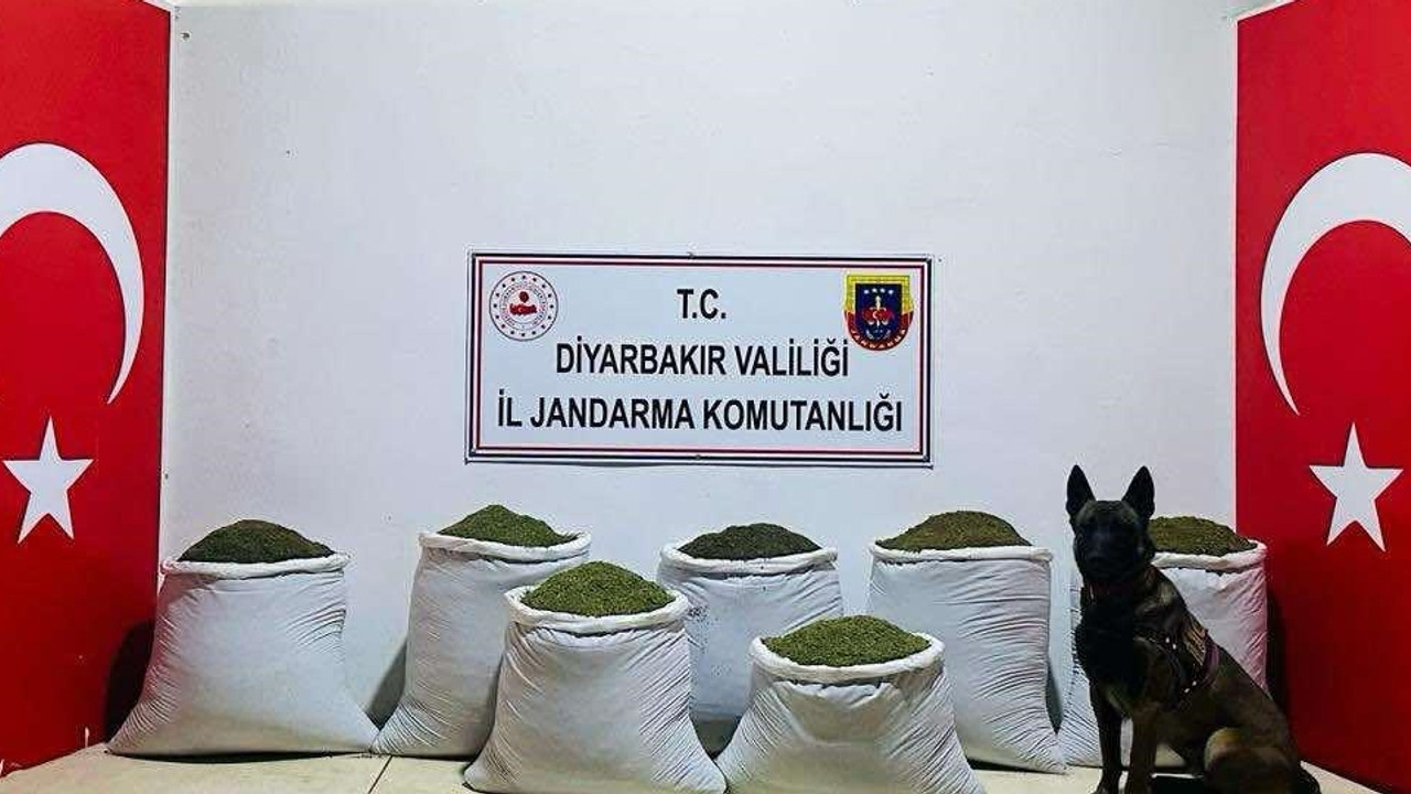 Jandarma’dan PKK’nın mali kaynağına operasyon!