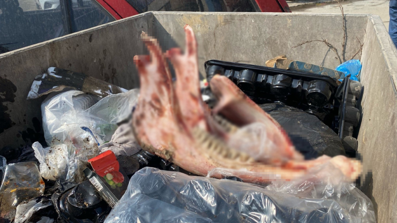 Düzce'de at eti kesen ve yeme içme işletmesi olan kişi yakalandı