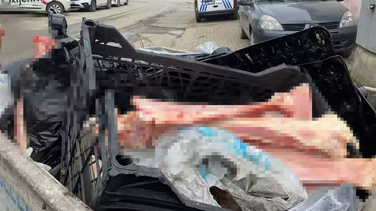 Çöp konteynerinde at eti ve kemikleri bulundu! Bölgede denetim başlatıldı