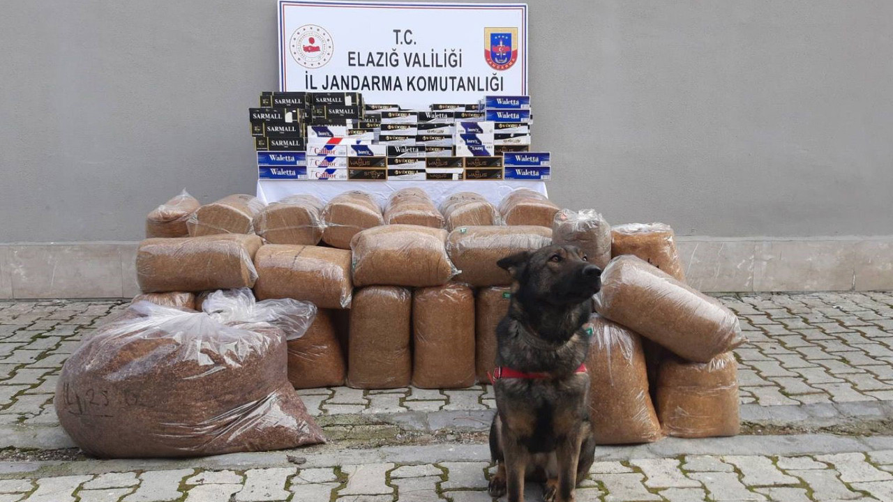 Jandarmadan kaçakçılara darbe!