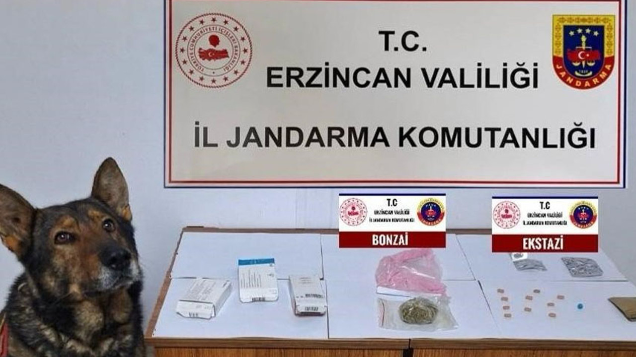 Jandarma aranan şüphelilere nefes aldırmadı: 126 olayın 124'ü çözüme kavuştu!