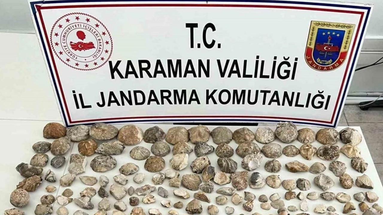 Jandarma binlerce bitki ve hayvan fosili ele geçirdi
