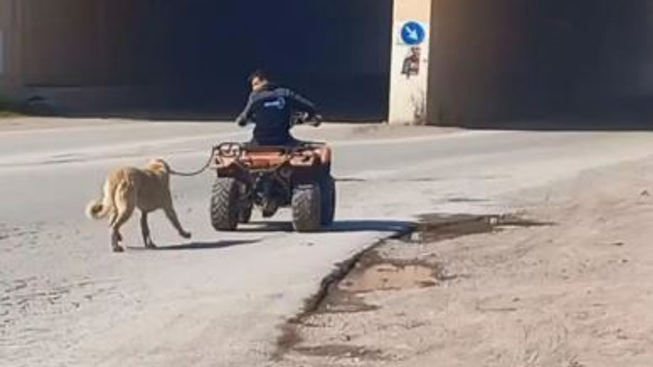 Köpeği ATV'ye bağlayıp dakikalarca sürükledi