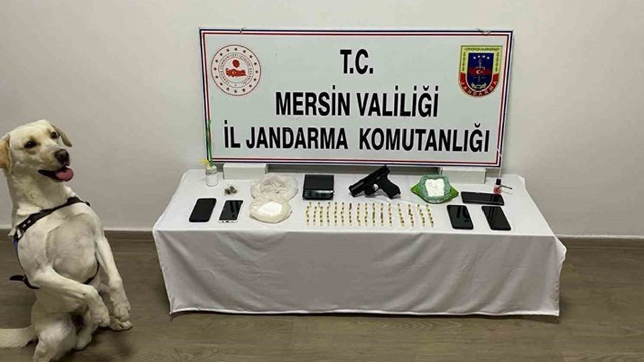 Jandarmadan zehir tacirlerine baskın!