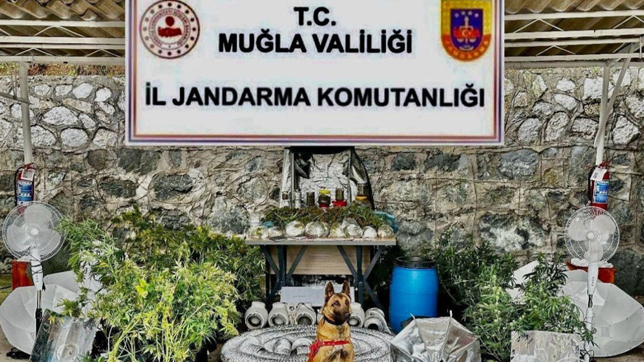 Şok uyuşturucu baskını! Jandarma, 'Azot' sayesinde eliyle koymuş gibi buldu