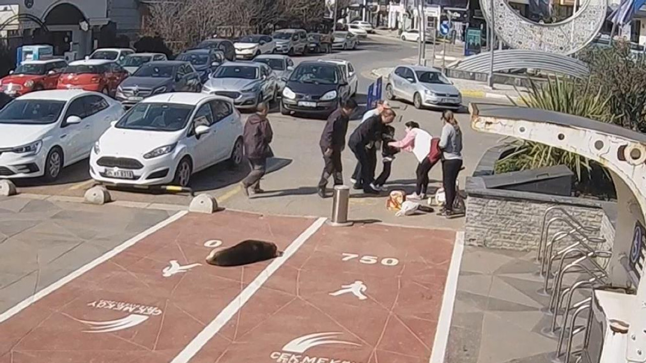 Parkta oyun oynayan çocuğun bir anda nefesi kesildi: Zabıtanın hamlesi hayata döndürdü