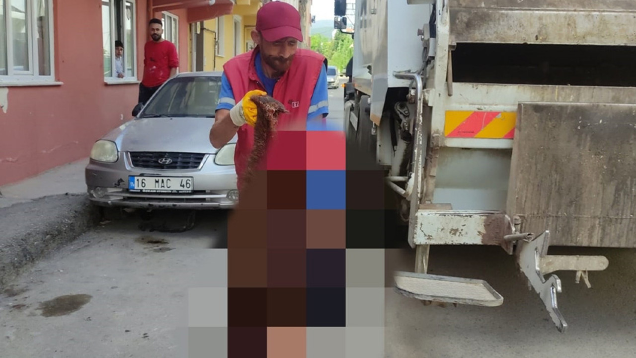 Konteynerde parçalara ayrılmış bedeni bulunmuştu! Başı ve derisi bahçede çıktı