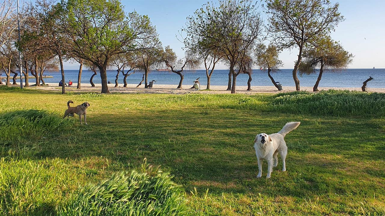 Çocuk, İBB çukurunda boğuldu