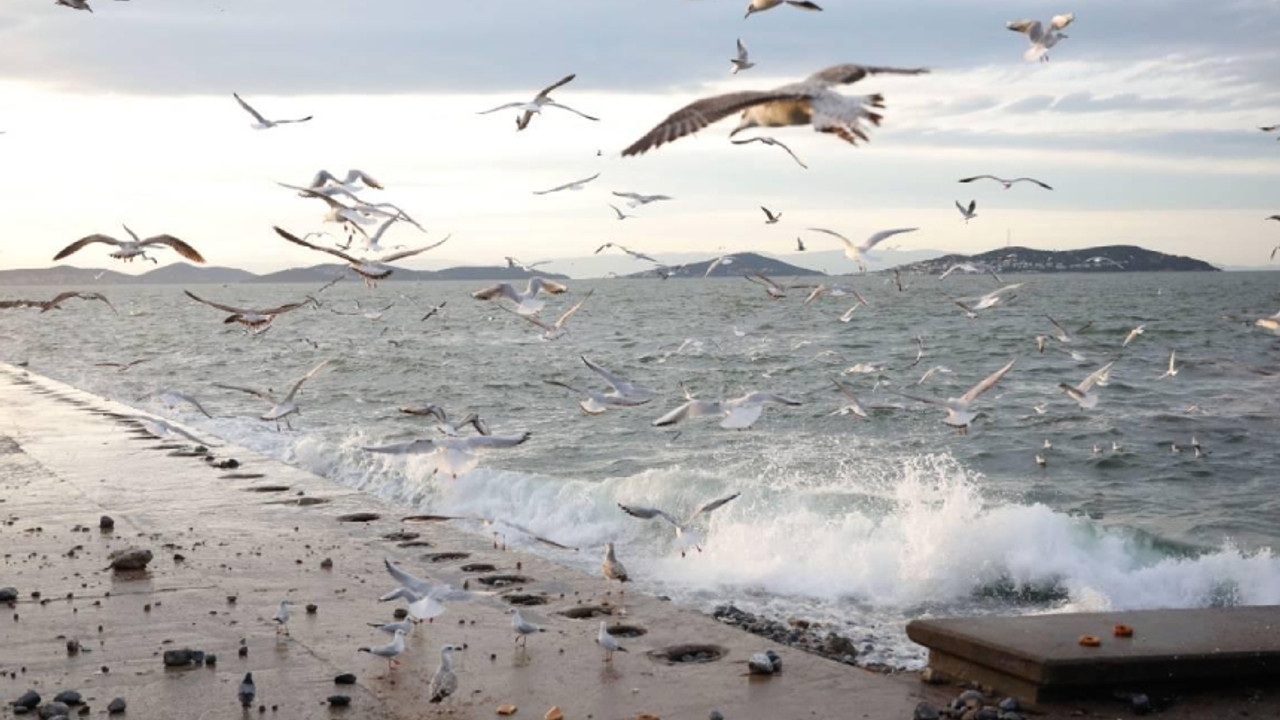 Meteoroloji'den bazı iller için lodos uyarısı