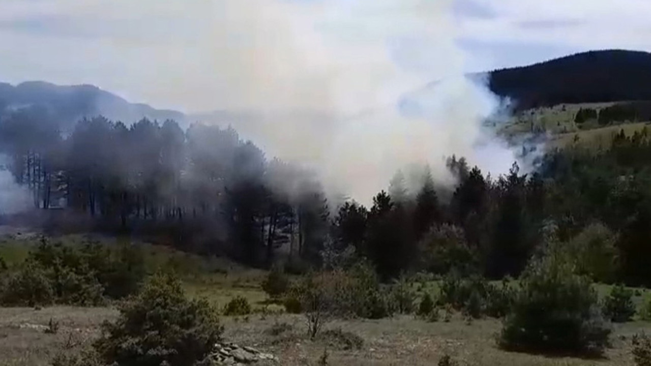 Sinop’ta korkutan orman yangını!