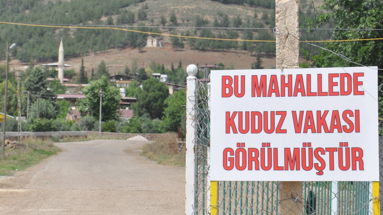 Bir kişiyi ısıran köpek kuduz çıktı bölge karantinada