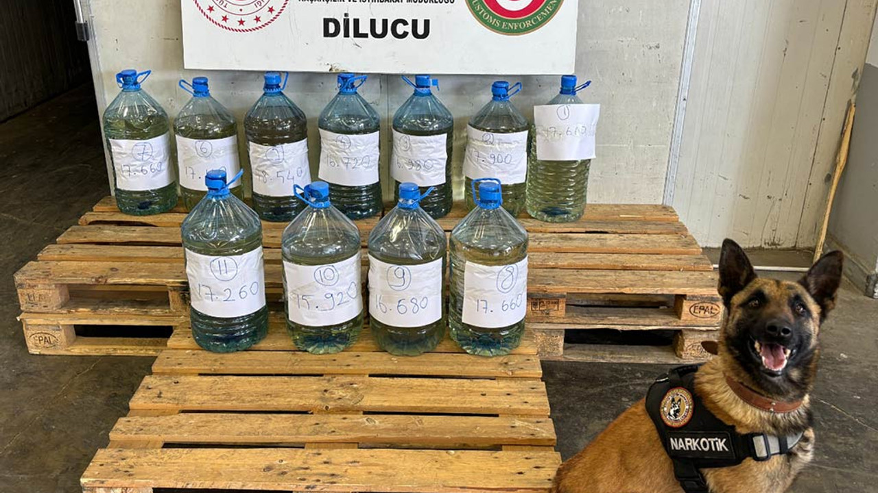 Gümrük kapılarında uyuşturucu operasyonu