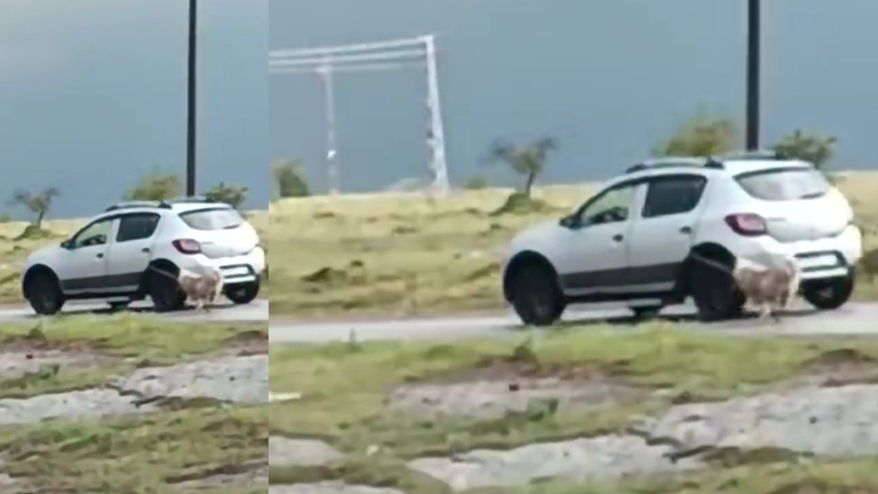 Köpeği otomobiline iple bağlayıp sürükledi! Polisler yakaladı...