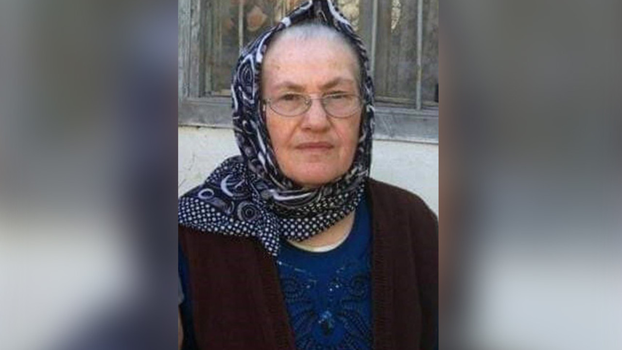 Yılanın üzerine bastı öldü!