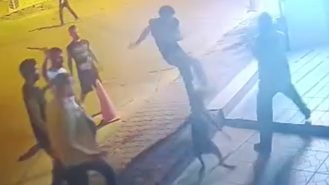 Güvenlik ve köpeğine haince saldırdılar!