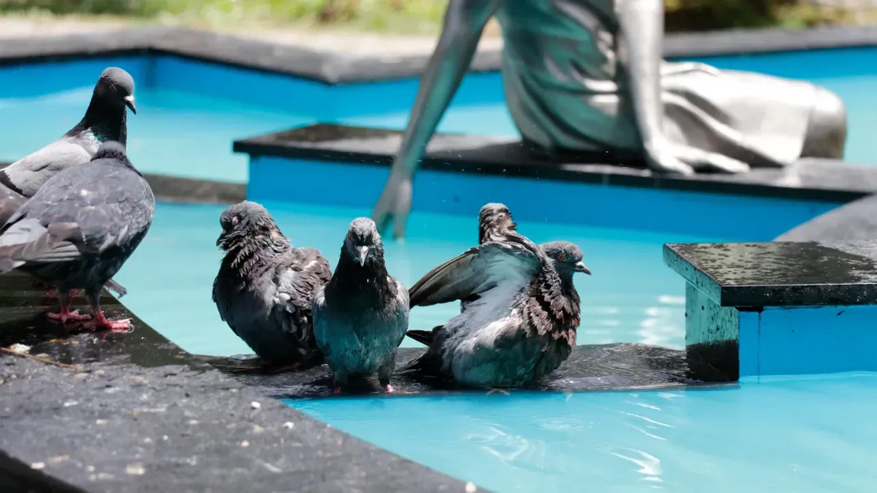 Şanlıurfa’da termometreler 50 dereceye vurdu!