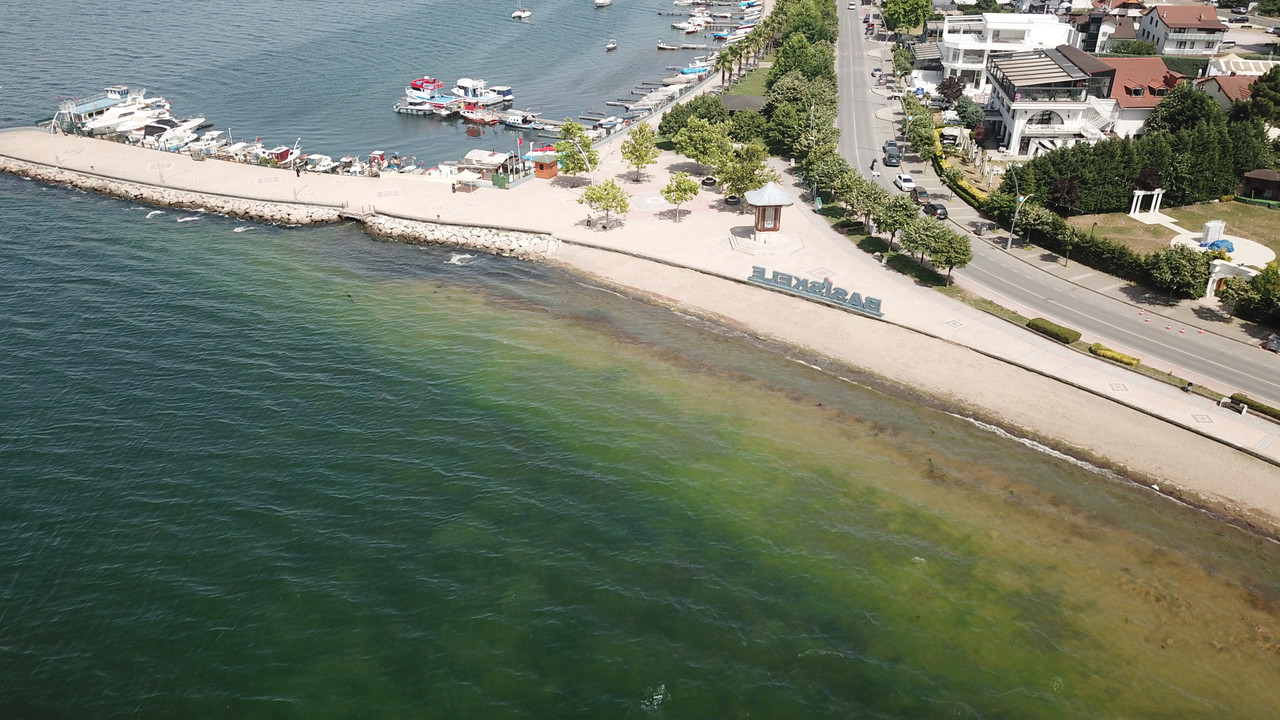 İzmit Körfezi'nde müsilaj korkusu!