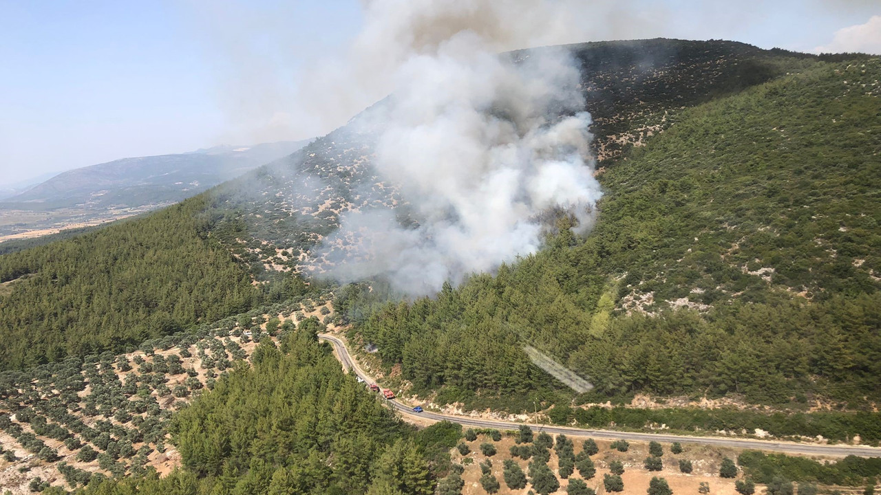 Antalya ve Muğla’da da orman yangınları başladı