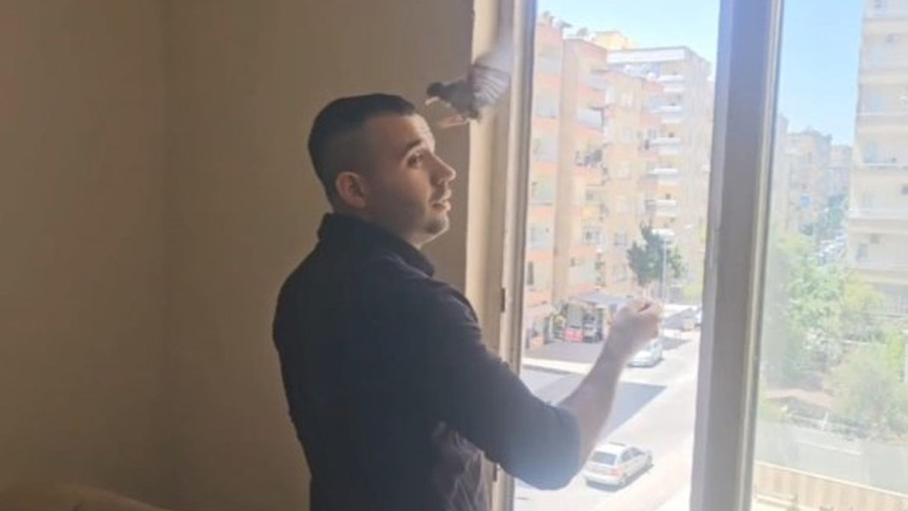 Kendi evini kendisi seçti! Açık camdan giren serçe evin maskotu oldu