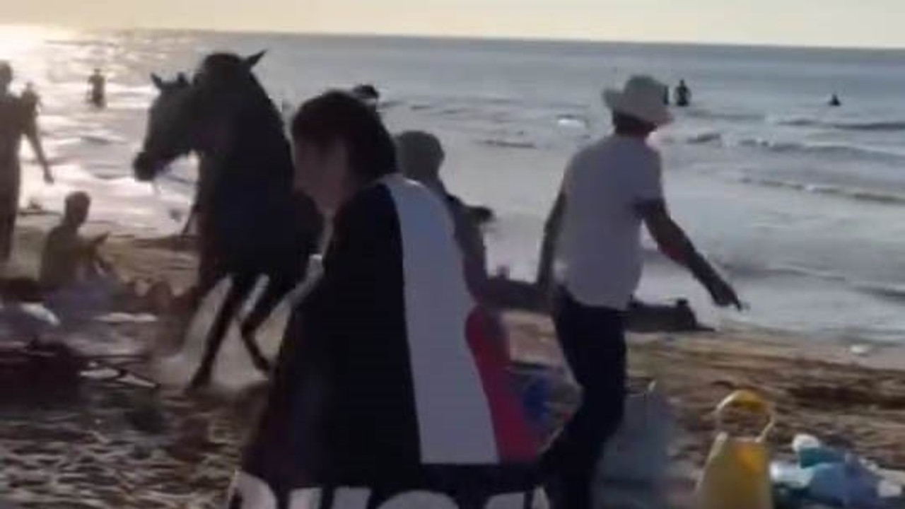 Şile plajına sokulan atlar insanları öldürüyordu