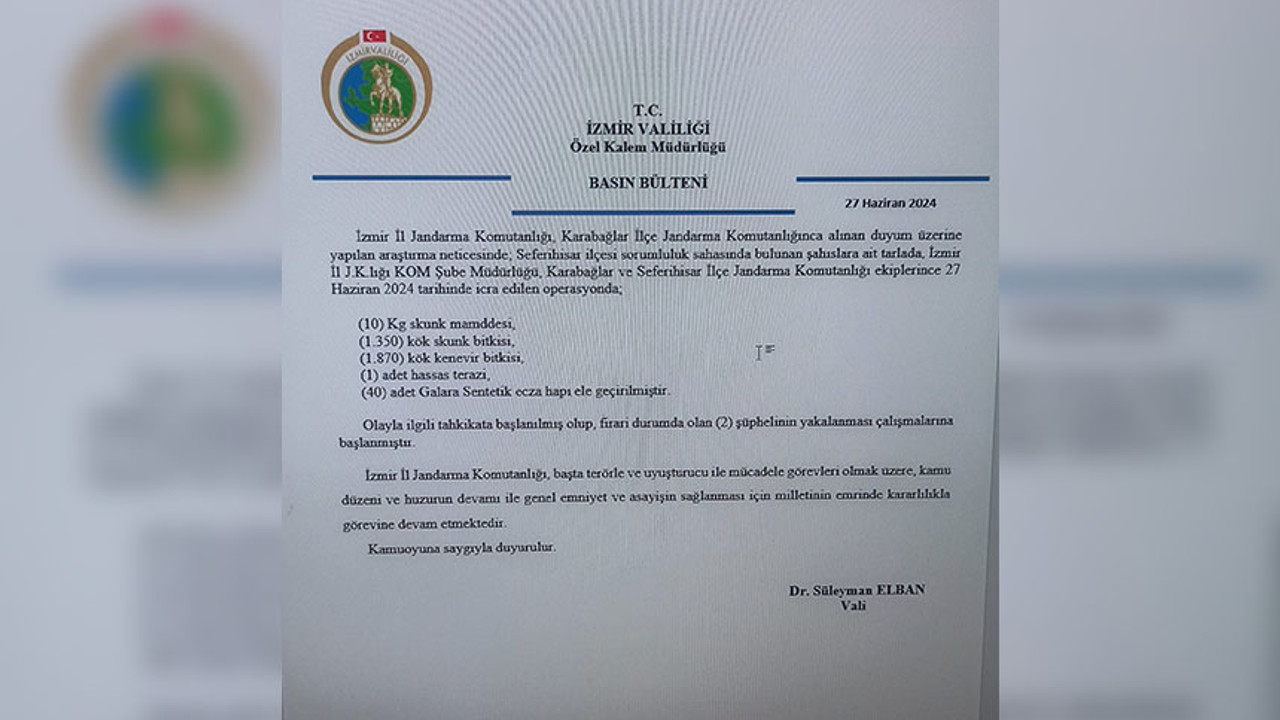 İzmir Seferihisar'daki bir tarlada kök kenevir bitkisi ve skunk maddesi ele geçirildi. 2 şüpheli aranıyor...