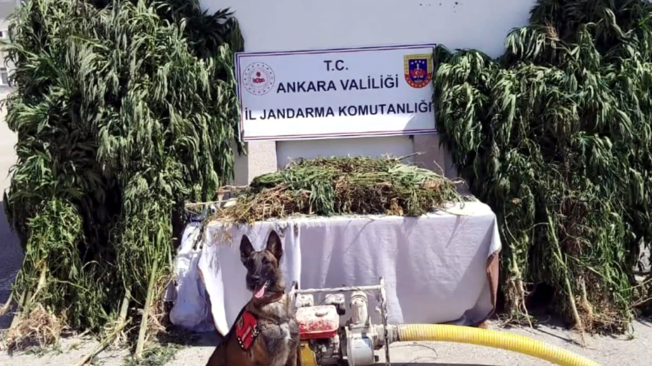 Bakan Yerlikaya duyurdu: 'Narkoçelik-26' operasyonlarında 57 gözaltı