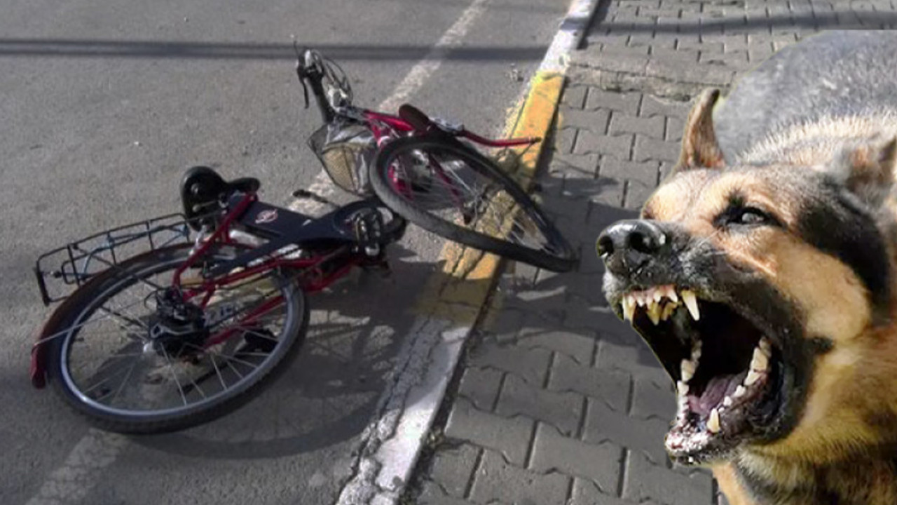 Köpekten kaçarken öldü!
