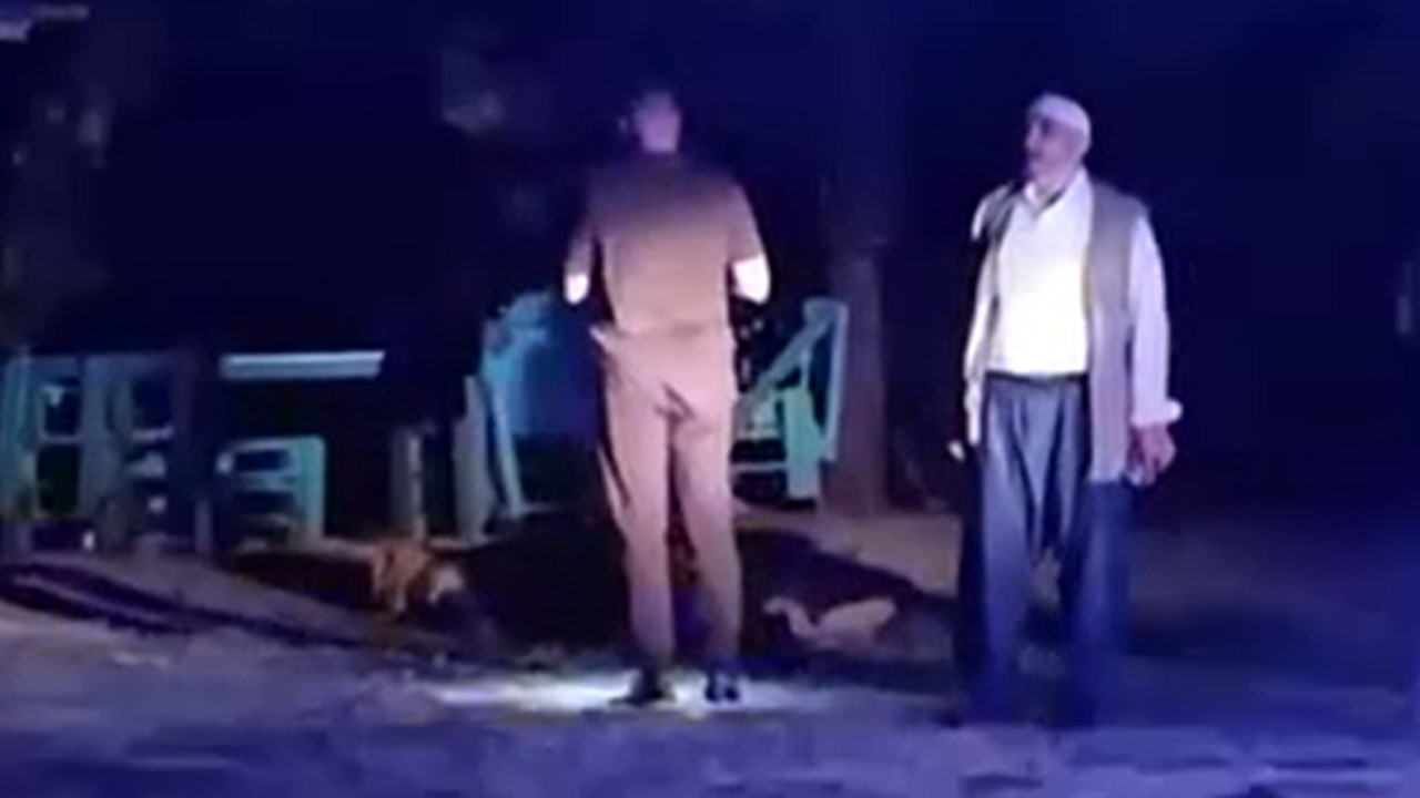 Yalova'da korkunç cinayet! Oğlunu tüfekle vurup öldürdü