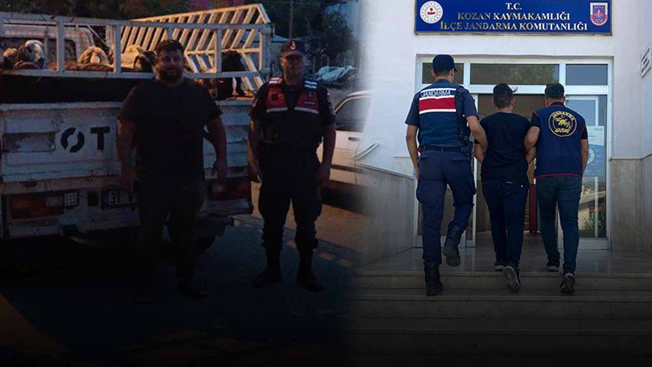 Koyunları çalıp satan çoban, pavyonda yakalandı!