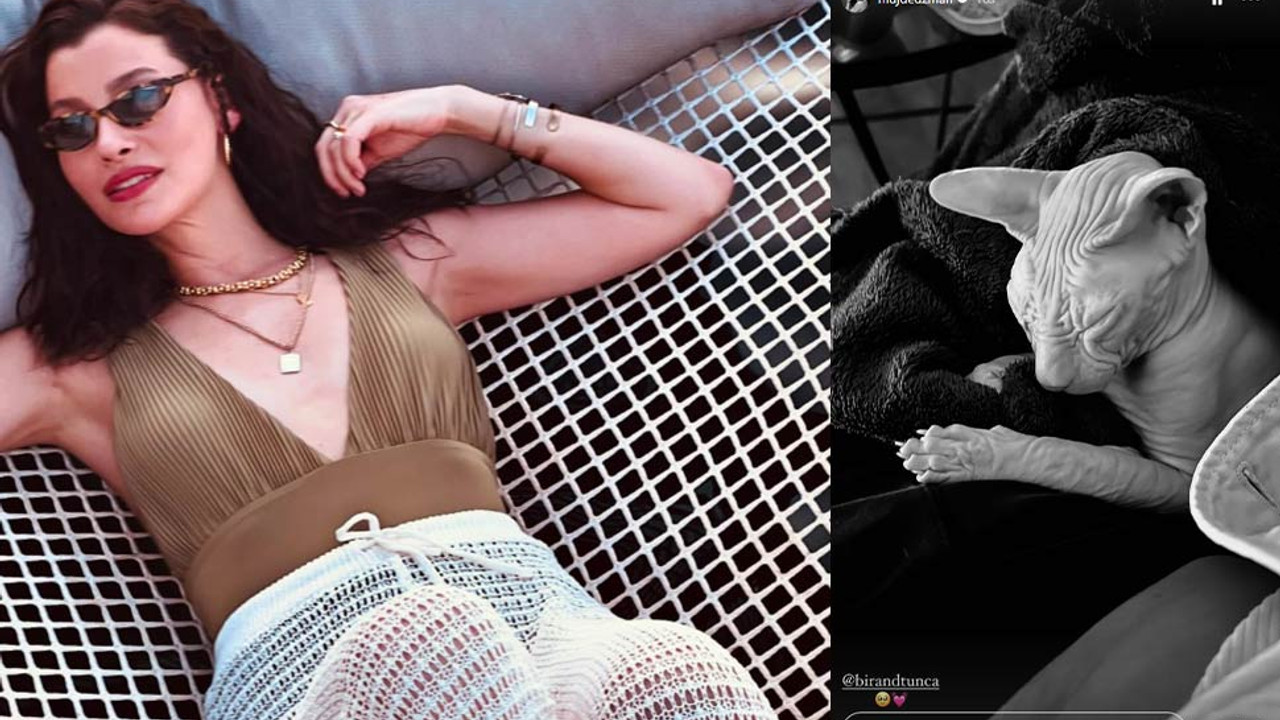 Müjde Uzman'dan kedi aracılığıyla aşk ilanı