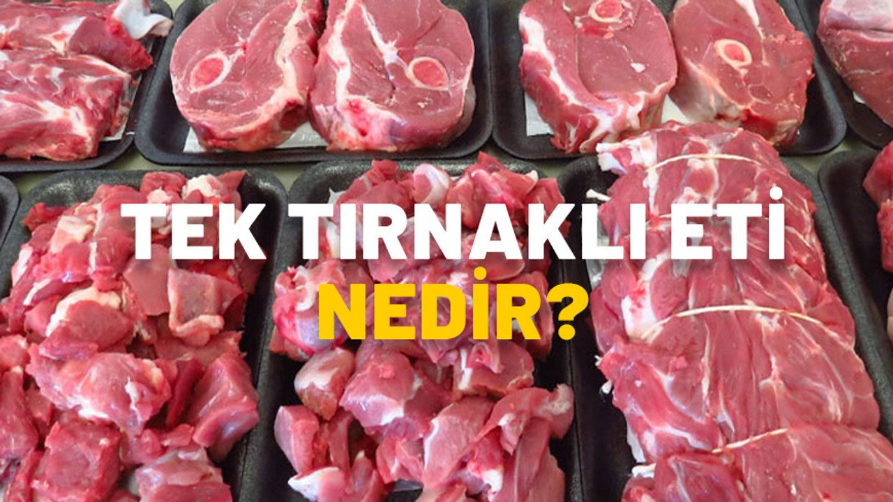 Tek tırnaklı hayvanlar hangileri? Tek tırnaklı eti haram mı? Tek tırnaklı eti bulunan ürünler açıklandı