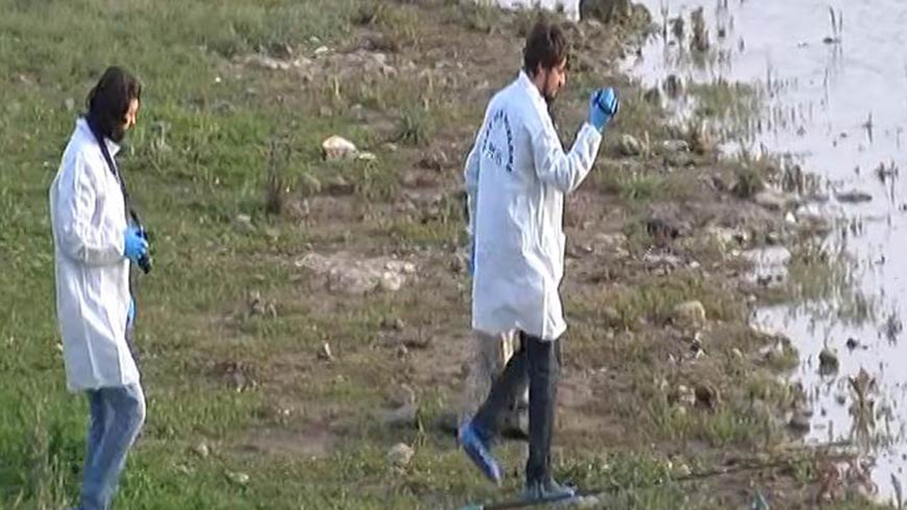 Barajda 6 yıl önce bulunan çocuk cesediyle ilgili yeni gelişme!