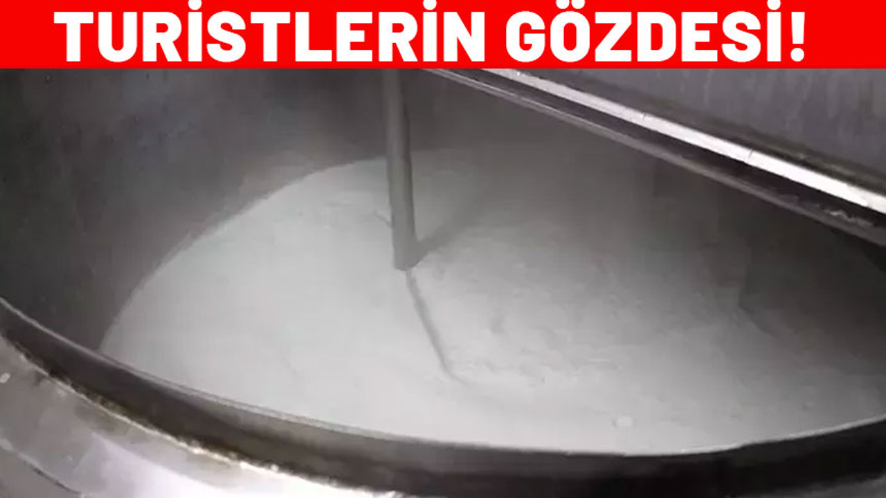 Turistler poşet poşet alıyor! Sütten 30 kat daha fazla kalsiyum içeriyor. Faydası saymakla bitmez