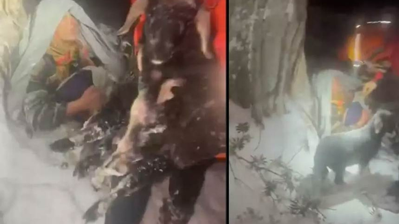 Donmak üzere bulunan yaşlı kadın, kuzularına sarılmış halde bulundu
