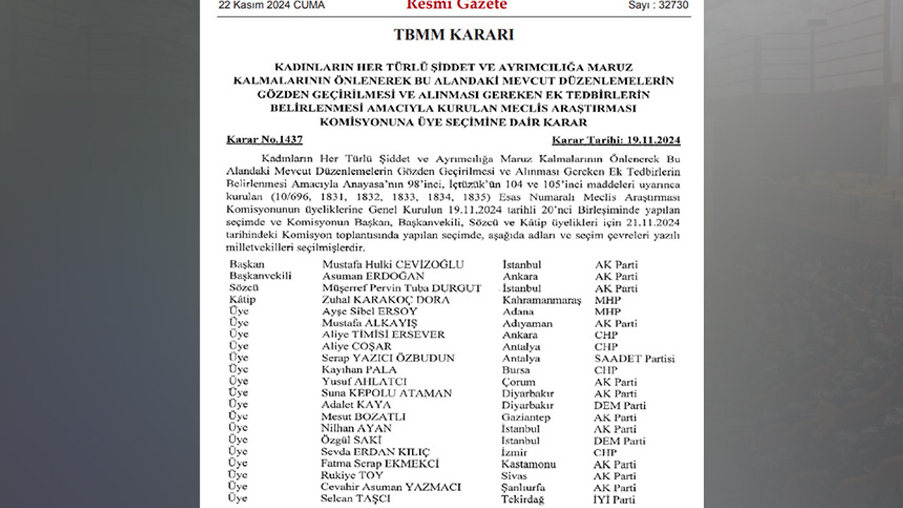 Kadına yönelik şiddet komisyonuna üye seçimi kararı Resmi Gazete’de