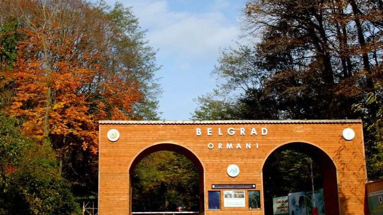 İdaresi İBB'deydi! Mahkemeden Belgrad Ormanları'na jet tahliye