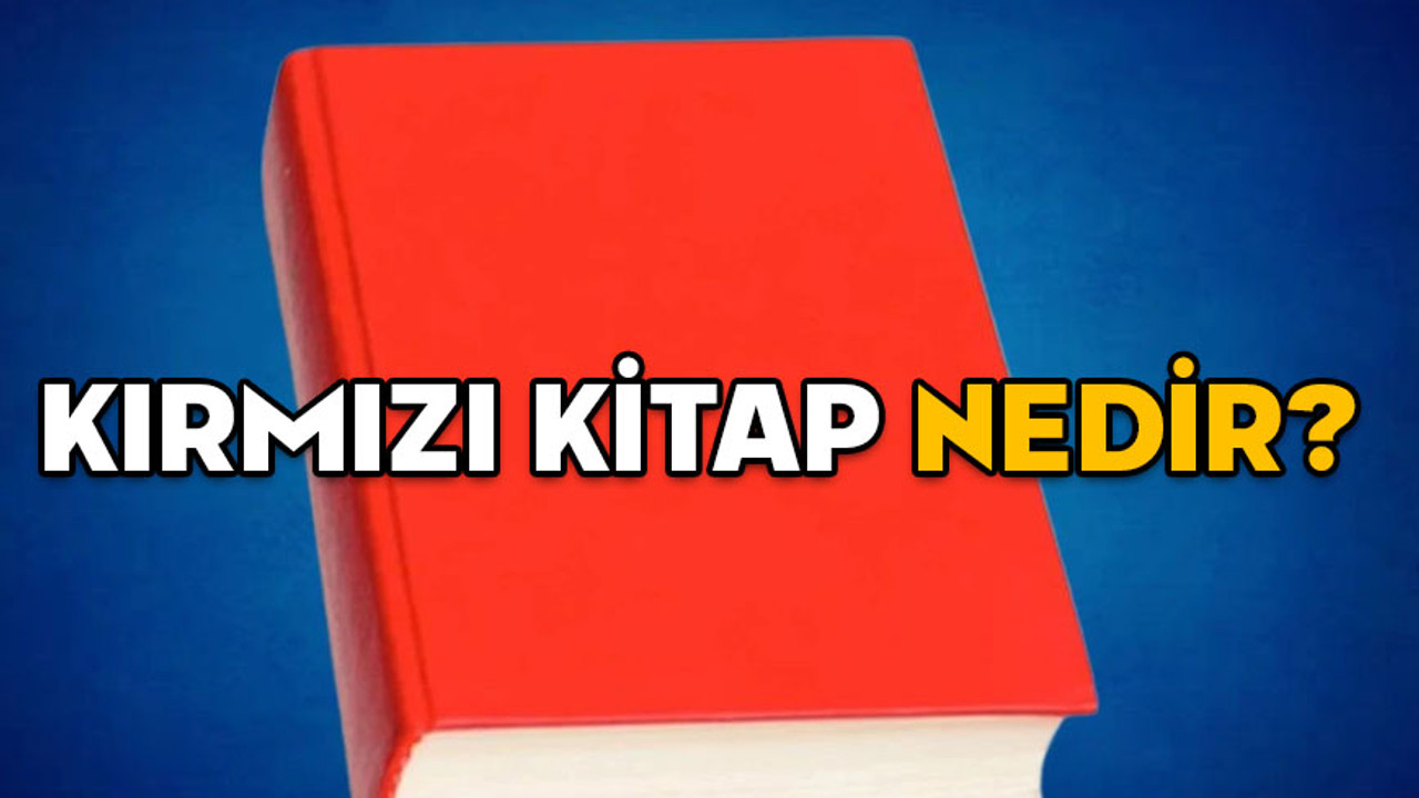 KIRMIZI KİTAP NEDİR? Milli Güvenlik Siyaseti Belgesi’nin içeriği nedir? Neden önemli?