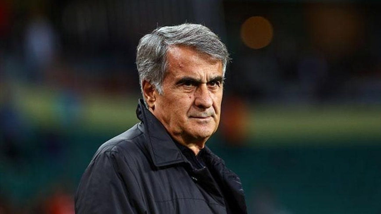 Şenol Güneş'ten flaş sözler: Filler çekişiyor, çimenler eziliyor