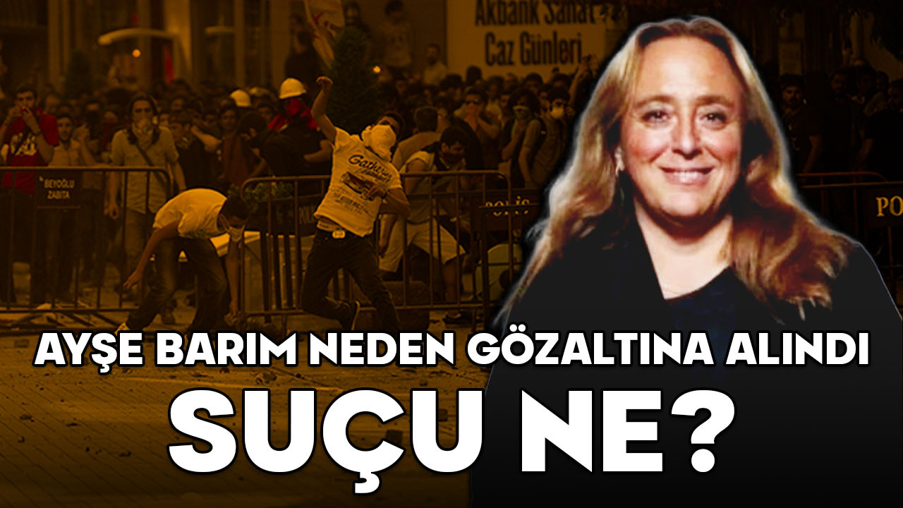 AYŞE BARIM NEDEN GÖZALTINA ALINDI, SUÇU NE? Ayşe Barım Gezi Parkı olayı nedir?