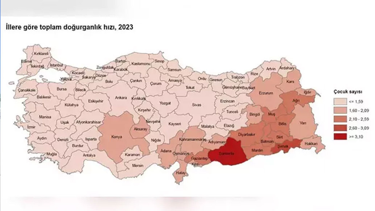 Türkiye’de sadece 10 il, nüfusunu yenileme yeterliliğine sahip