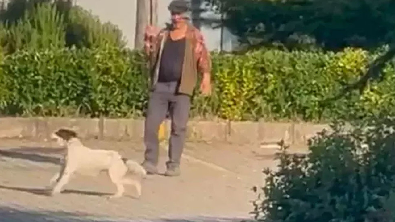 Bir hayvanı eğitmek için ötekine eziyet etti