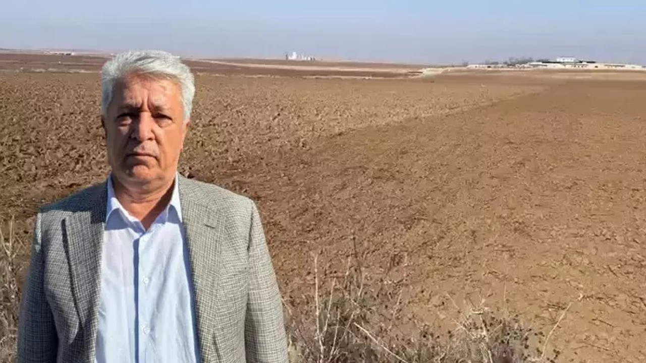 Genel vekalet başına bela oldu! Tarlasını başkalarına kiralayan kardeşlerine dava açtı