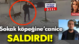 ‘’Sokak köpeğine’’ canice saldırdı!