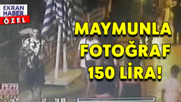 Maymundan para kazandı, yakalandı!