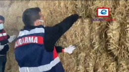 Kasa hırsızları Jandarmadan kaçamadı!